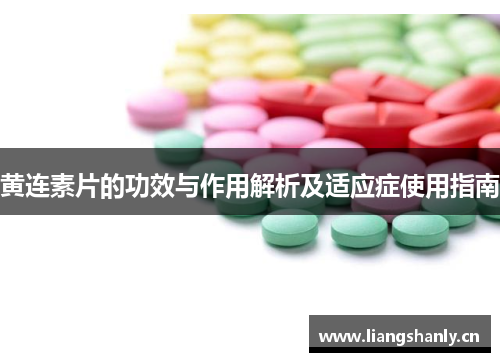 黄连素片的功效与作用解析及适应症使用指南